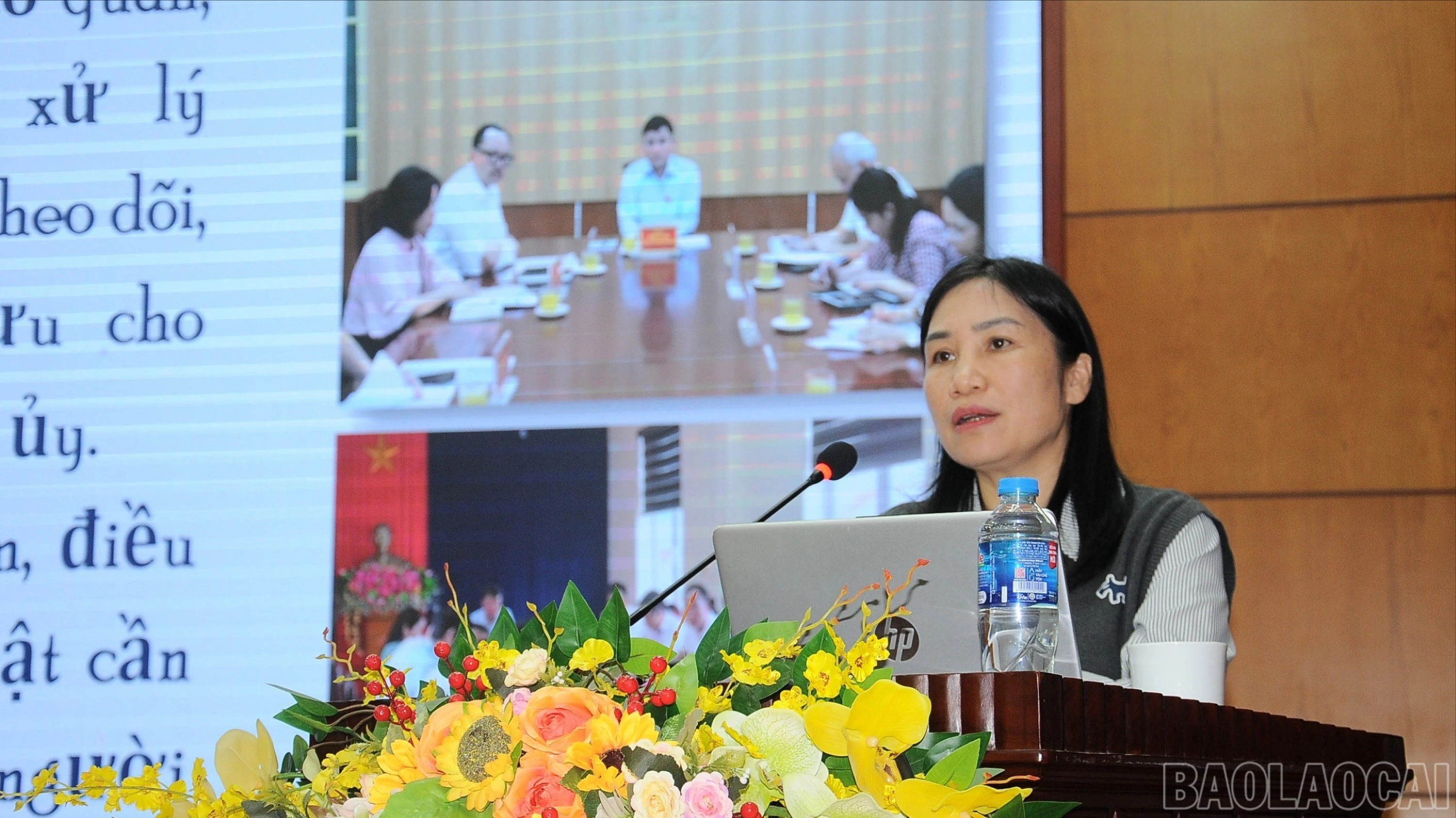 baolaocai-br_duc-3707-4491.jpg