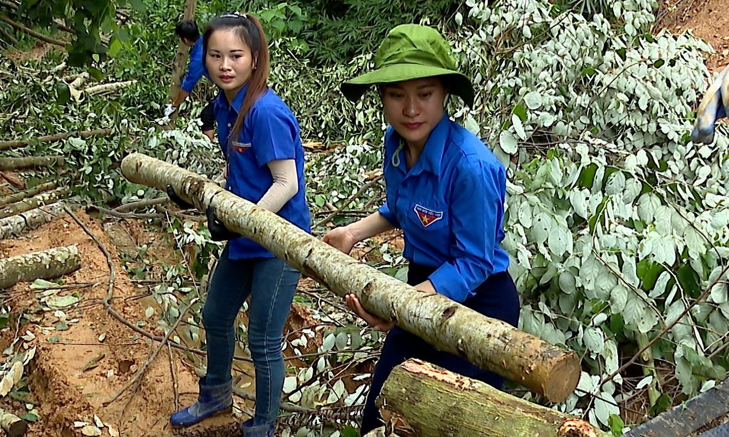 Đoàn viên, thanh niên xã Mường Lai hỗ trợ người dân dọn dẹp và vận chuyển cây cối sau giải phóng hành lang lưới điện. muong-lai-4.jpg