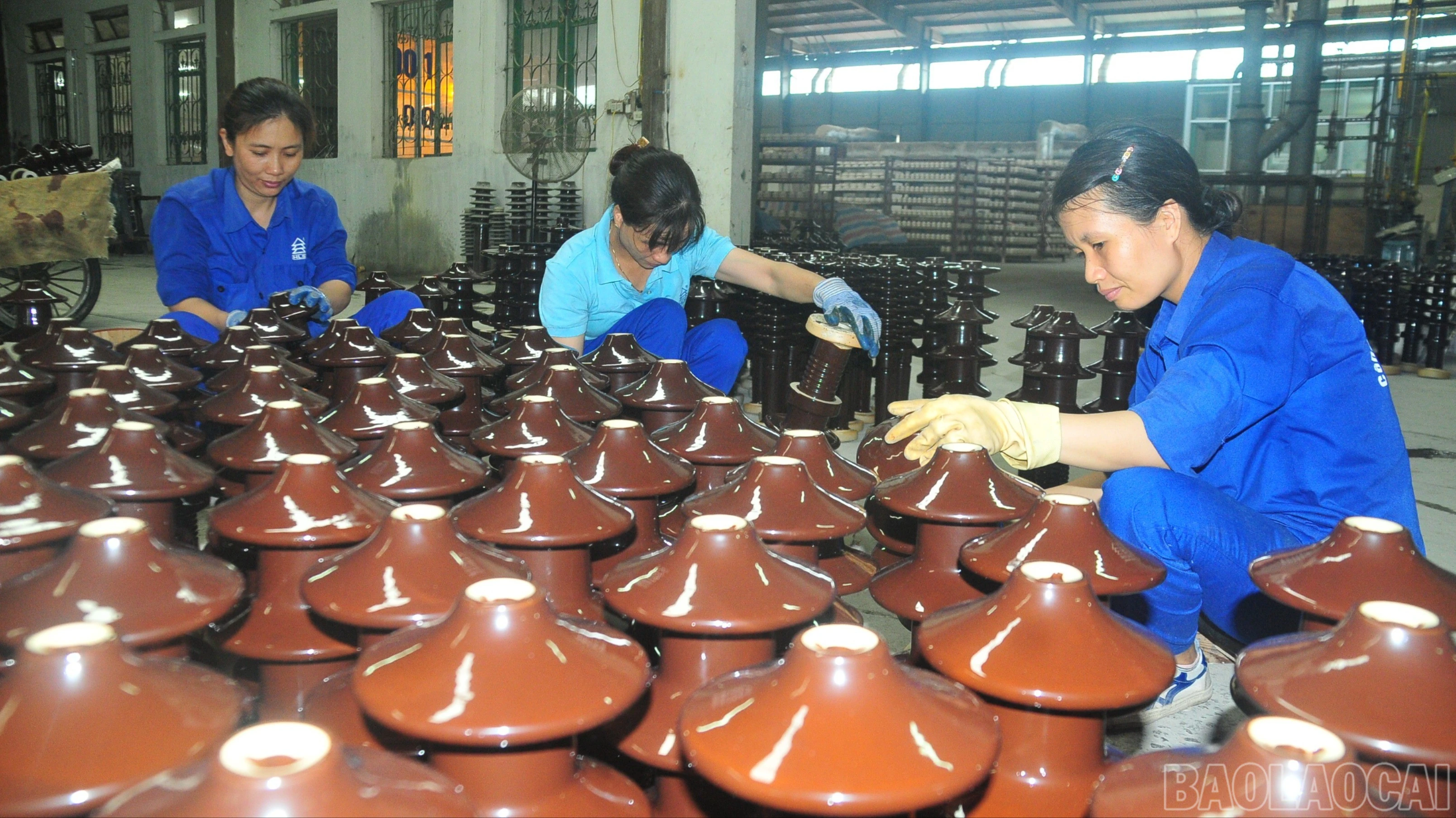 baolaocai-br_duc-4691-7369.jpg