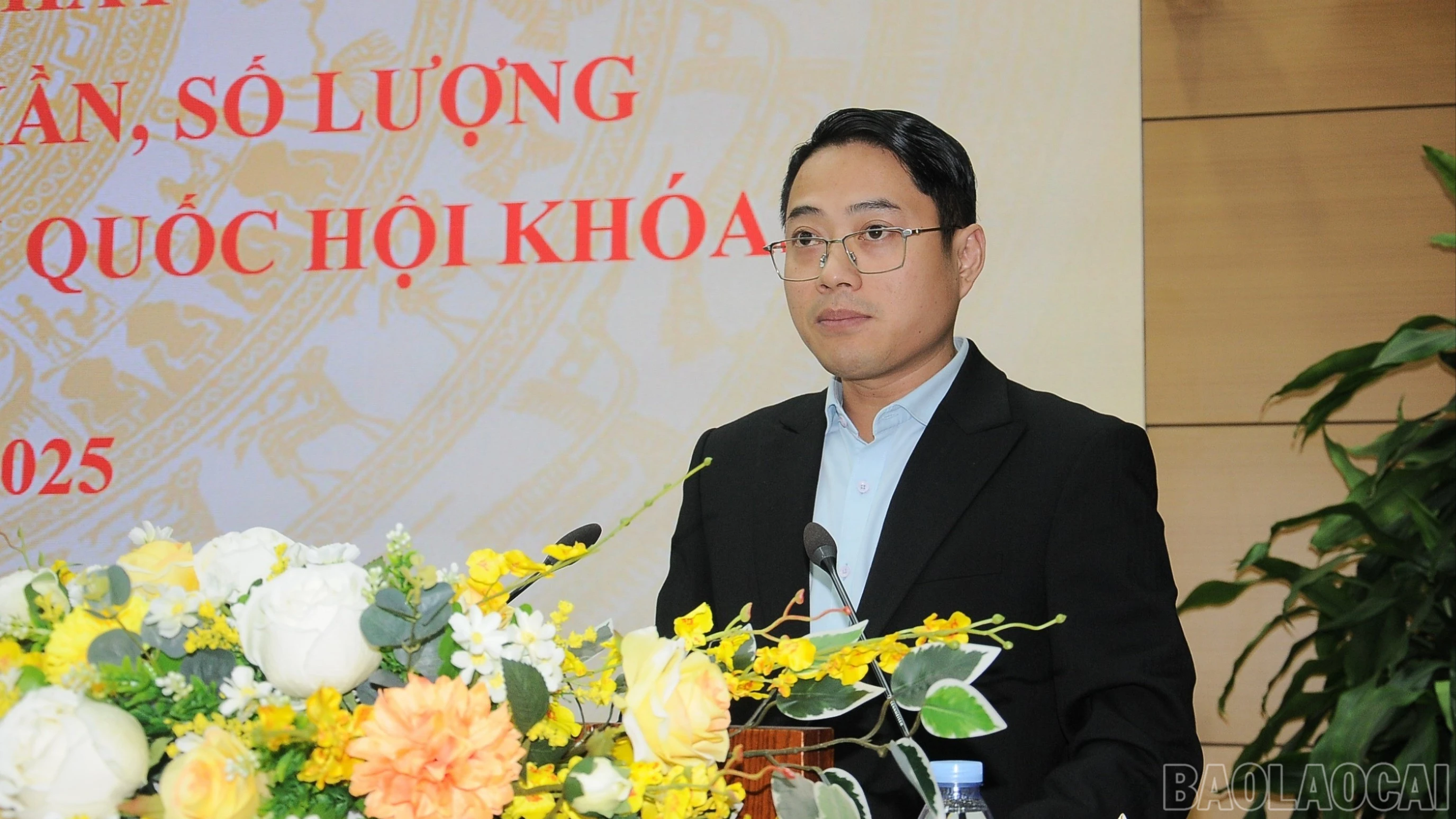 baolaocai-br_duc-3784-325.jpg