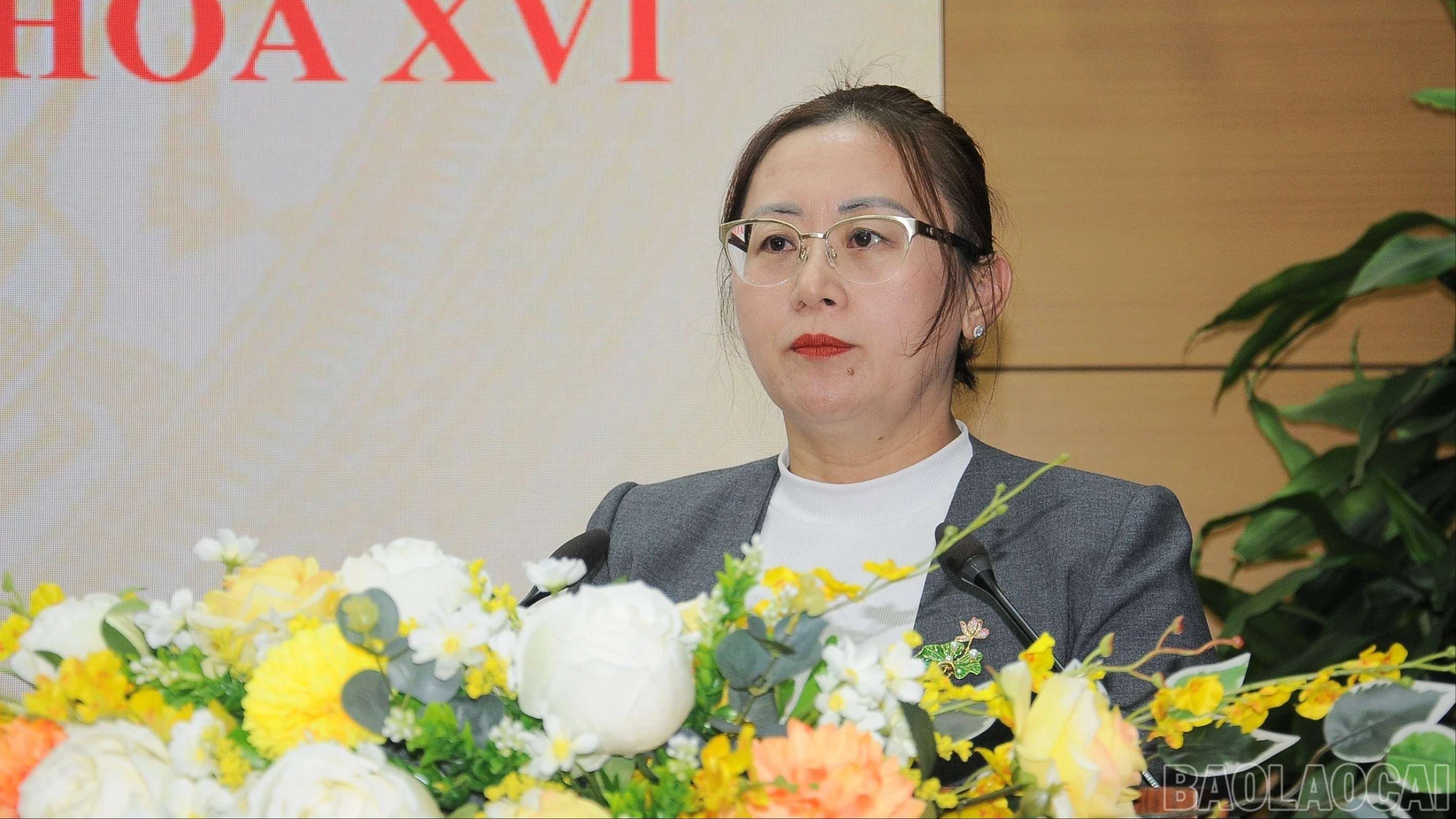 baolaocai-br_duc-3802-6145.jpg