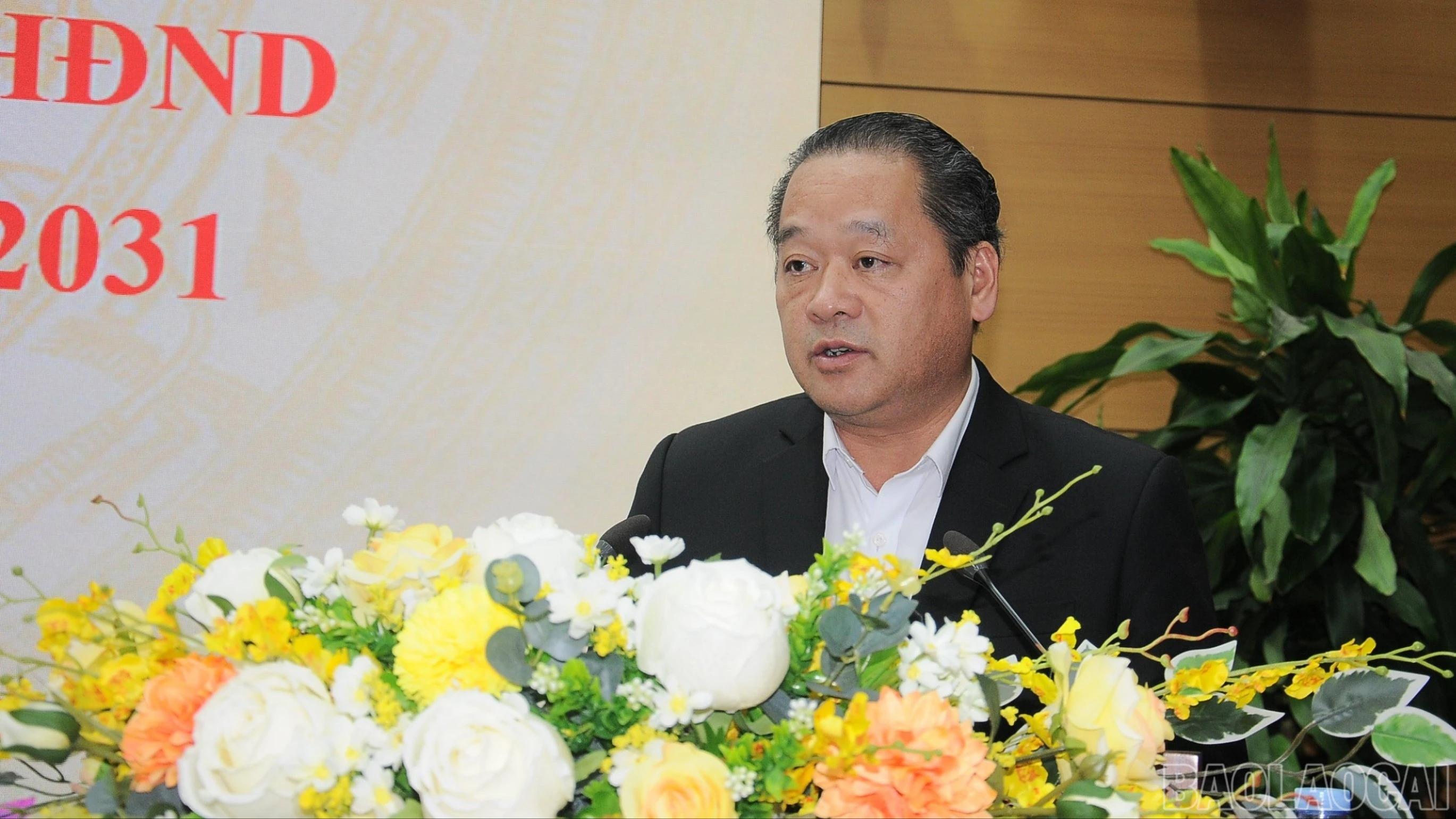 baolaocai-br_duc-3806-9085.jpg