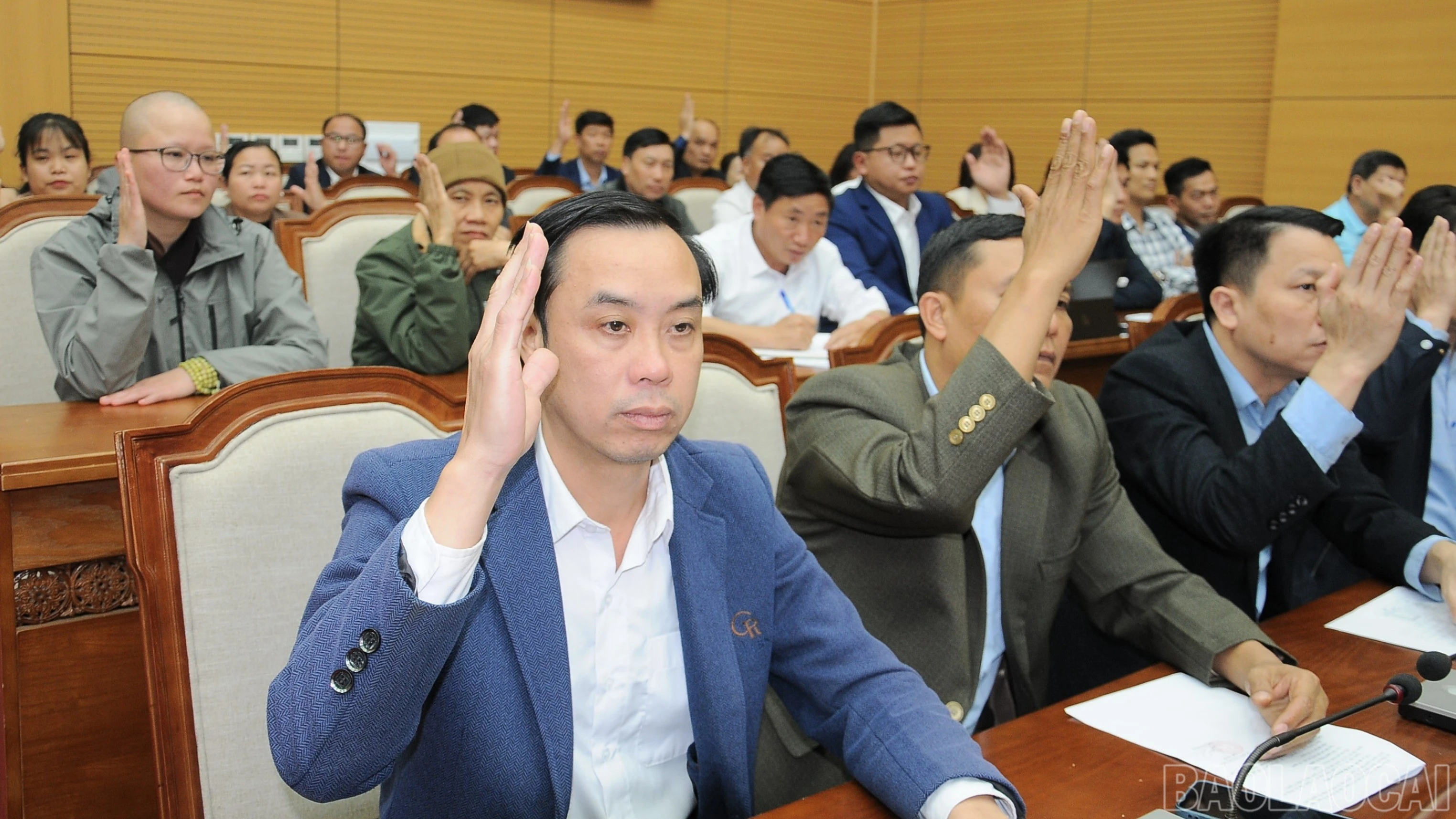 baolaocai-br_duc-3763-842.jpg
