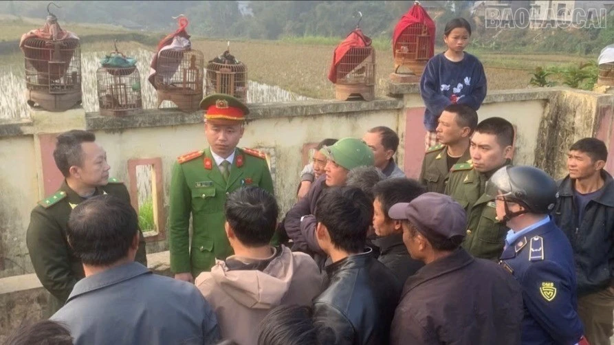 baolaocai-tr_vcvcb-756.jpg