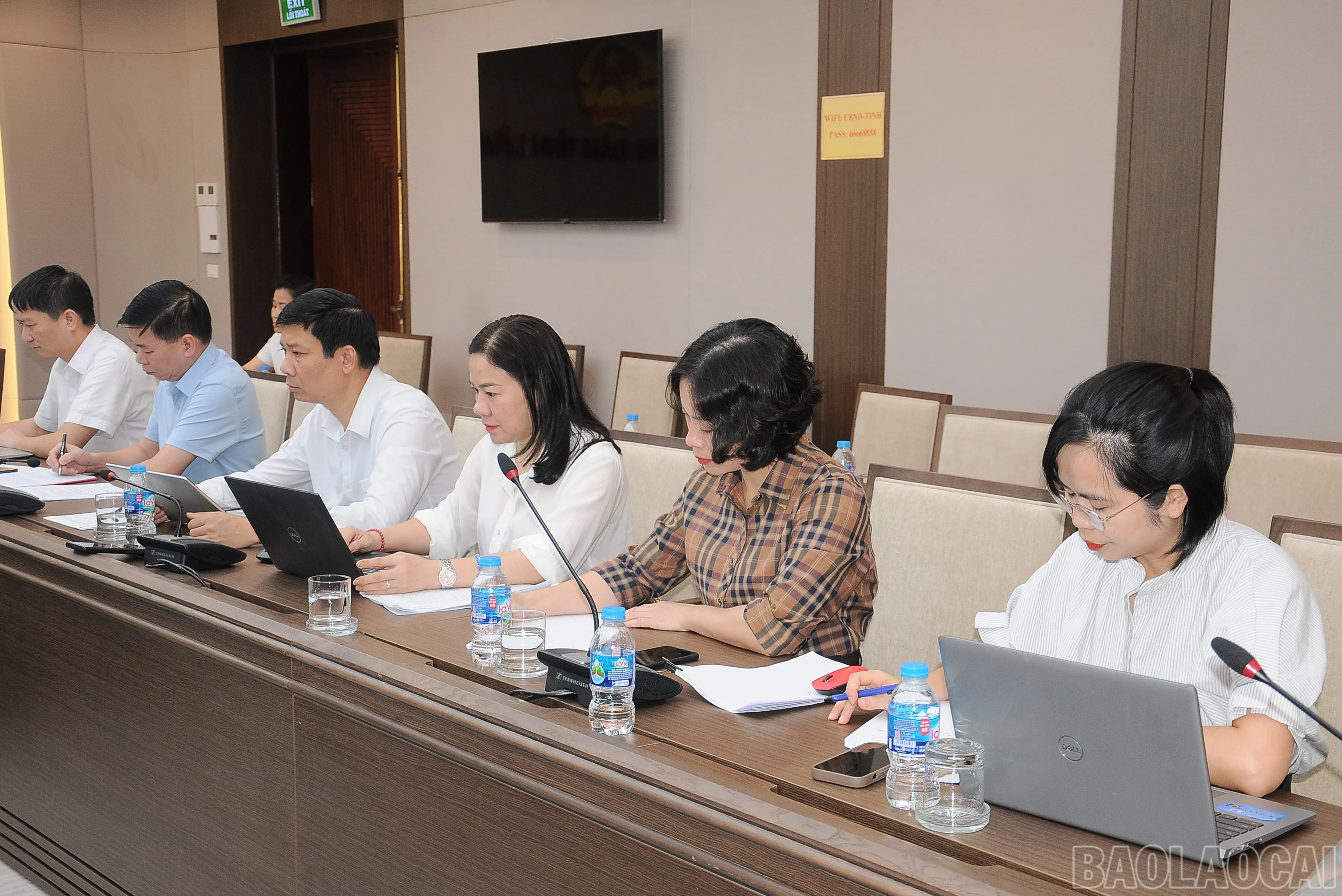 baolaocai-br_duc-3329.jpg