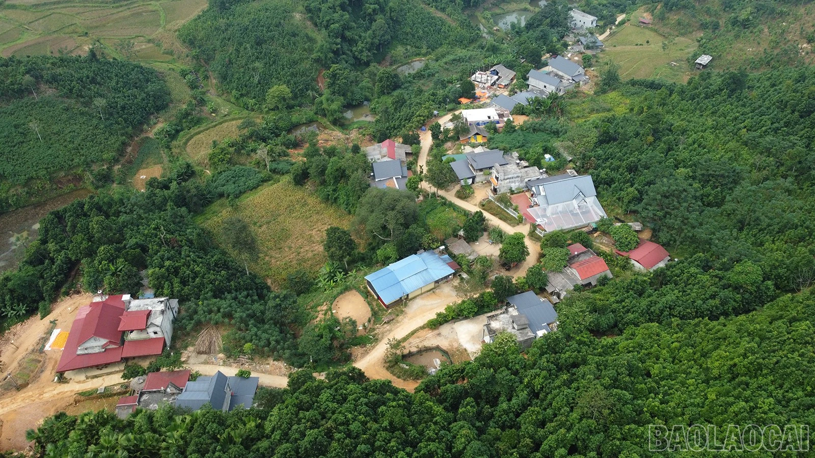 baolaocai-br_dji-0523.jpg