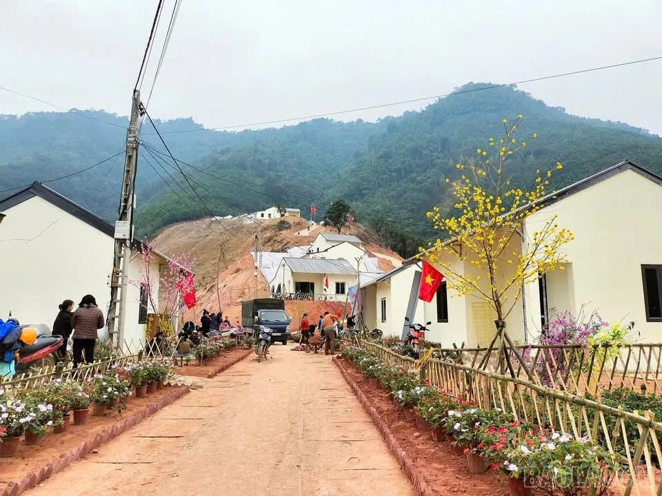 baolaocai-br_z6143010585171-572722af12f703275e456d1a000f5815.jpg