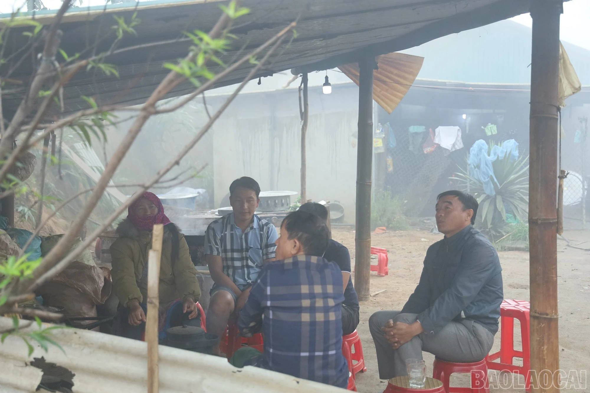 baolaocai-br_img-3896.jpg
