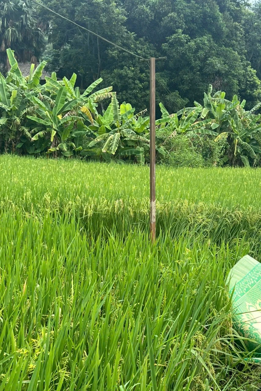 Hiện trường xảy ra vụ việc.jpg