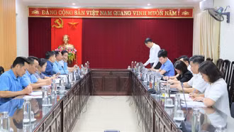 Ban Tổ chức Tỉnh ủy làm việc với 3 xã Lục Yên, Tân Lĩnh, Mường Lai về công tác phát triển đảng viên