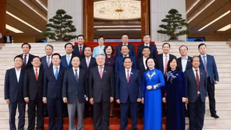 Thủ tướng Chính phủ phân công nhiệm vụ của các Phó Thủ tướng