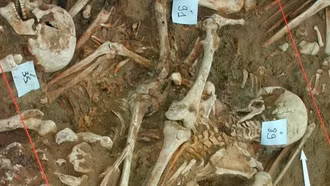 DNA hé lộ nguyên nhân bất ngờ khiến quân đội của Napoleon diệt vong