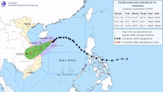 Bão số 12 di chuyển tốc độ 10 - 15 km/h, cách TP Đà Nẵng khoảng 390 km
