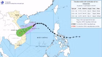 Bão số 12 cách TP Đà Nẵng khoảng 420 km, gió giật cấp 12