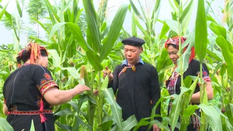 Trưởng thôn gương mẫu ở Khe Mạ
