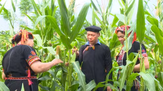 Trưởng thôn gương mẫu ở Khe Mạ