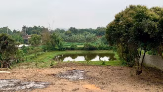 Ba thay đổi lớn về đất đai, xây dựng có hiệu lực năm 2026