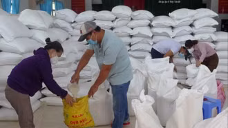 Xuất cấp hơn 14.660 tấn gạo dự trữ hỗ trợ Tết và giáp hạt năm 2026