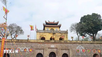 Lần đầu tiên tổ chức Đường hoa Tết trong Hoàng thành Thăng Long