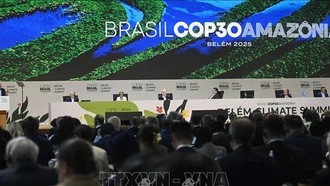 LHQ kêu gọi ngăn chặn mối đe dọa đang làm lung lay hợp tác chống biến đổi khí hậu