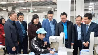 Thủ tướng chỉ đạo chăm lo, hỗ trợ nhân dân đón Tết Nguyên đán vui tươi, an toàn, tiết kiệm