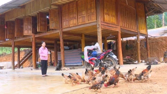 Mùa xuân trong những ngôi nhà mới sau thiên tai