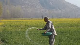 Nông dân Nam Á lao đao vì cú sốc phân bón do khủng hoảng Hormuz