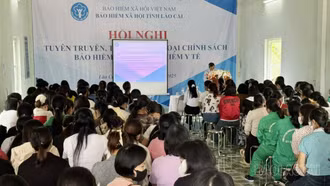 Quang cảnh hội nghị.