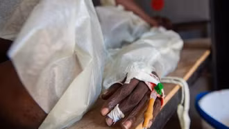 WHO báo động về dịch tả trên toàn cầu