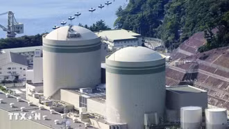 Nhật Bản tái khởi động lò phản ứng hạt nhân đầu tiên kể từ thảm họa Fukushima