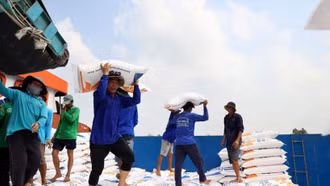 Việt Nam dự kiến có 7,73 triệu tấn gạo hàng hóa cho xuất khẩu năm 2026