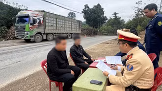 Lào Cai: Phát hiện 2 xe ô tô tải vận chuyển hơn 70 tấn đá không rõ nguồn gốc