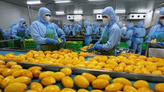 Thị trường rộng mở, nông sản hữu cơ nỗ lực tìm chỗ đứng