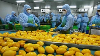 Thị trường rộng mở, nông sản hữu cơ nỗ lực tìm chỗ đứng