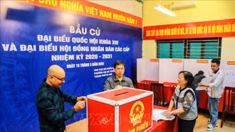 Ngày 15/3/2026 - Ngày hội non sông