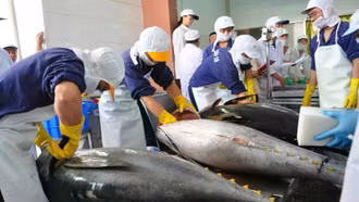 Doanh nghiệp xuất khẩu chật vật trước "bão giá" logistics