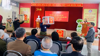 Phường Cam Đường chạy thử chương trình bầu cử