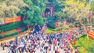 Như cây một cội, như con một nhà