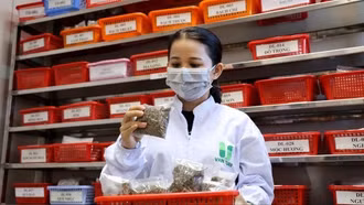 Đẩy mạnh phát triển nền y học cổ truyền Việt Nam trong giai đoạn mới