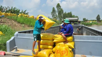 Quyền Bộ trưởng Nông nghiệp nói về tình hình gạo Việt khi Philippines, Indonesia dừng nhập khẩu