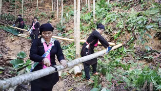 Xã Bảo Hà đạt và vượt 26/31 chỉ tiêu kinh tế - xã hội năm 2025