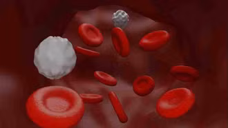 Phòng nguy cơ rối loạn mỡ máu dịp cuối năm