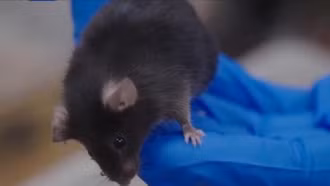 Trung Quốc hoàn tất thử nghiệm trên trạm vũ trụ