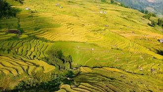 Du khách đổ về Y Tý, đắm chìm với ruộng bậc thang đẹp nhất Tây Bắc