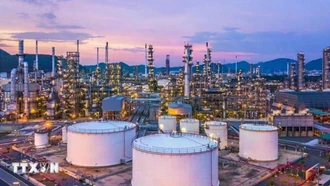 OPEC+ chính thức tạm ngưng tăng sản lượng dầu đến hết quý 1 năm 2026