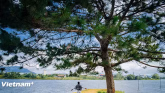 Năm Du lịch quốc gia 2026: Cùng hợp lực, bứt phá xúc tiến quảng bá