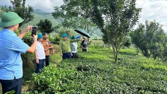 Đồng chí Lý Bình Minh - Phó Chủ tịch HĐND tỉnh làm việc tại xã Gia Hội