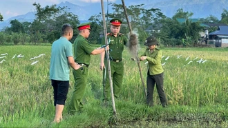 Phường Nghĩa Lộ ra quân gỡ bỏ lưới săn bắt, bảo vệ chim di cư