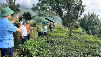 Đồng chí Lý Bình Minh - Phó Chủ tịch HĐND tỉnh làm việc tại xã Gia Hội