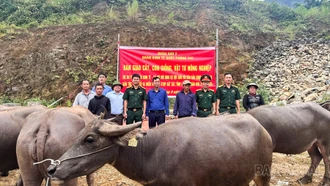 Đoàn Kinh tế - Quốc phòng 345 cấp con giống, vật tư nông nghiệp hỗ trợ hộ dân vùng dự án